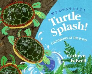 Turtle Splash
