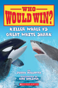 Who would Win Killer Killer Whale vs Great white Shark
