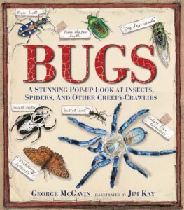 bugs